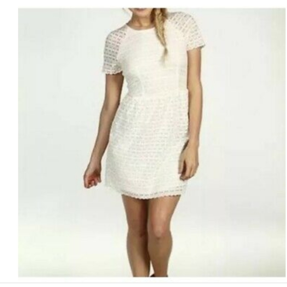 EUC Free People Fit and Flare Candy Lace Dress